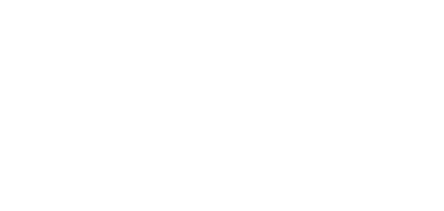 video brothers logo