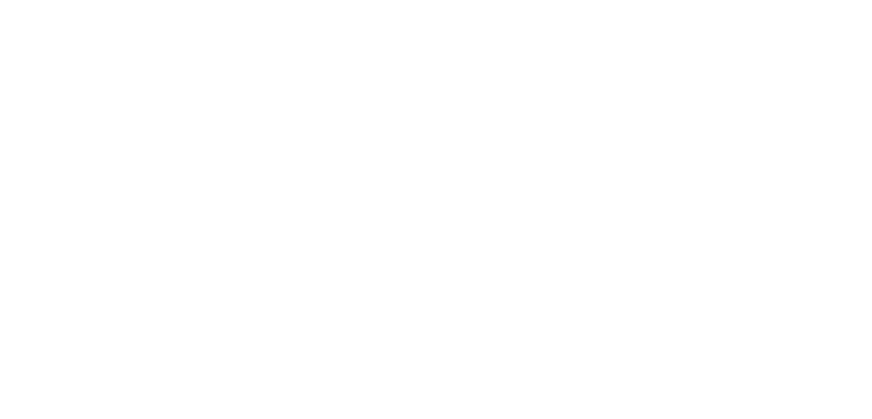 Video Brothers